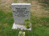 image of grave number 244795